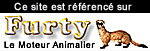 www.furty.com