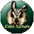 Ct Nature